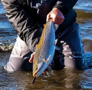 Westin Goby V2 85mm 24g Diamond Thief