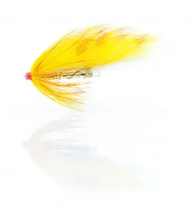 Salmon Zonker Rising Sun Gr. 0.75'' Orange / Gelb