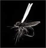 DVD - The Fish & The Fly 3 Terrestrials (Landinsekten )